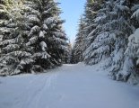 Király-hegy (1948m) - hótalpas túra