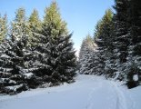 Király-hegy (1948m) - hótalpas túra