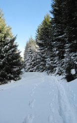 Király-hegy (1948m) - hótalpas túra