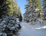 Király-hegy (1948m) - hótalpas túra