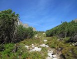Magas-Tátra: Kapor-csúcs(2363m)