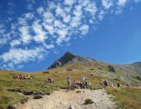 Magas-Tátra: Kriván (2494m)