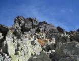 Magas-Tátra: Kis-Viszóka (2429m)