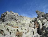 Magas-Tátra: Kis-Viszóka (2429m)