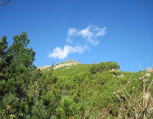 Magas-Tátra: Nagyszalóki-csúcs (2452m)