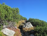 Magas-Tátra: Nagyszalóki-csúcs (2452m)