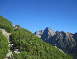 Magas-Tátra: Nagyszalóki-csúcs (2452m)
