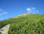 Magas-Tátra: Nagyszalóki-csúcs (2452m)