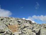 Magas-Tátra: Nagyszalóki-csúcs (2452m)