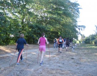 Nordic Walking edzés. Gödöllői-dombság. Kerepes/Szilasliget. 