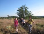 Nordic Walking edzés. Gödöllői-dombság. Kerepes/Szilasliget.