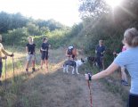 Nordic Walking edzés. Gödöllői-dombság. Kerepes/Szilasliget.