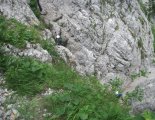 Rax-Alpok: Teufelsbadstubensteig