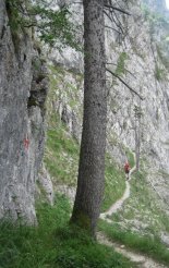 Rax-Alpok: Teufelsbadstubensteig