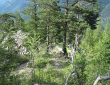 Rax-Alpok: Teufelsbadstubensteig