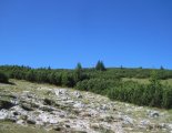 Rax-fennsík (1738m) - gyalogtúra