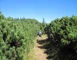 Rax-fennsík (1738m) - gyalogtúra