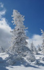 Rax-fennsík (1738m) - hótalpas túra