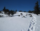 Rax-Alpok: Rax-fennsík(1738m) hótalpas túra 