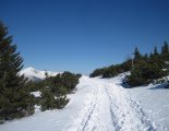 Rax-Alpok: Rax-fennsík(1738m) hótalpas túra 