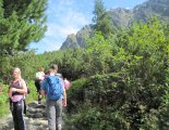 Rysy - Tengerszem-csúcs (2503m)