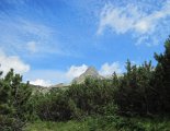 Rysy - Tengerszem-csúcs (2503m)