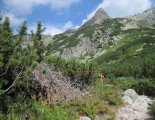 Rysy - Tengerszem-csúcs (2503m)