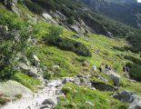 Rysy - Tengerszem-csúcs (2503m)