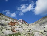 Rysy - Tengerszem-csúcs (2503m)