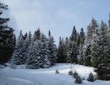 Schneeberg (2076m) hótalpas túra 
