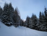 Schneeberg (2076m) hótalpas túra 