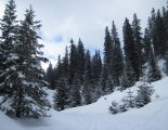Schneeberg (2076m) hótalpas túra 