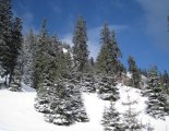Schneeberg (2076m) hótalpas túra 
