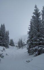 Schneeberg (2076m) hótalpas túra 