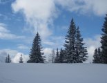 Schneeberg (2076m) hótalpas túra 