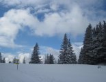 Schneeberg (2076m) hótalpas túra 