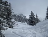 Schneeberg (2076m) hótalpas túra 