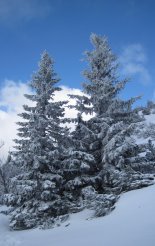 Schneeberg (2076m) hótalpas túra 