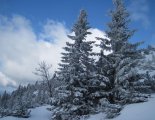 Schneeberg (2076m) hótalpas túra 