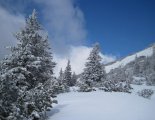 Schneeberg (2076m) hótalpas túra 