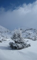 Schneeberg (2076m) hótalpas túra 