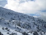 Schneeberg (2076m) hótalpas túra 