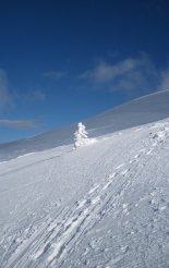 Schneeberg (2076m) hótalpas túra 