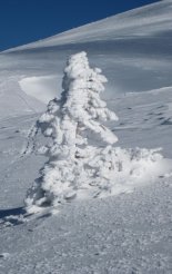 Schneeberg (2076m) hótalpas túra 