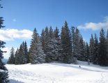 Schneeberg (2076m) hótalpas túra 