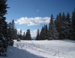 Schneeberg (2076m) hótalpas túra 