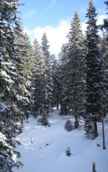 Schneeberg (2076m) hótalpas túra 