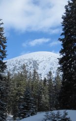Schneeberg (2076m) hótalpas túra 
