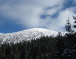 Schneeberg (2076m) hótalpas túra 