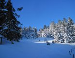 Schneeberg (2076m) téli, hótalpas túra